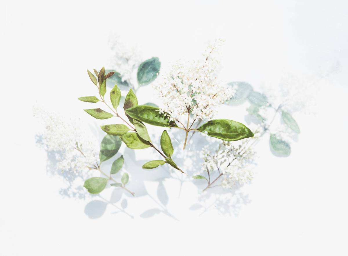 Natural Immunity: 7 Proven Tips to Avoid Costly Mistakes in Organic Skincare
