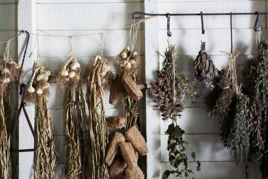 Traditional Medicine: 7 Proven Ways to Avoid Costly Skincare Mistakes