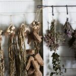 Traditional Medicine: 7 Proven Ways to Avoid Costly Skincare Mistakes