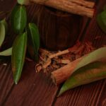 Clean Living: 7 Proven Tips to Avoid Costly Mistakes in Organic Beauty