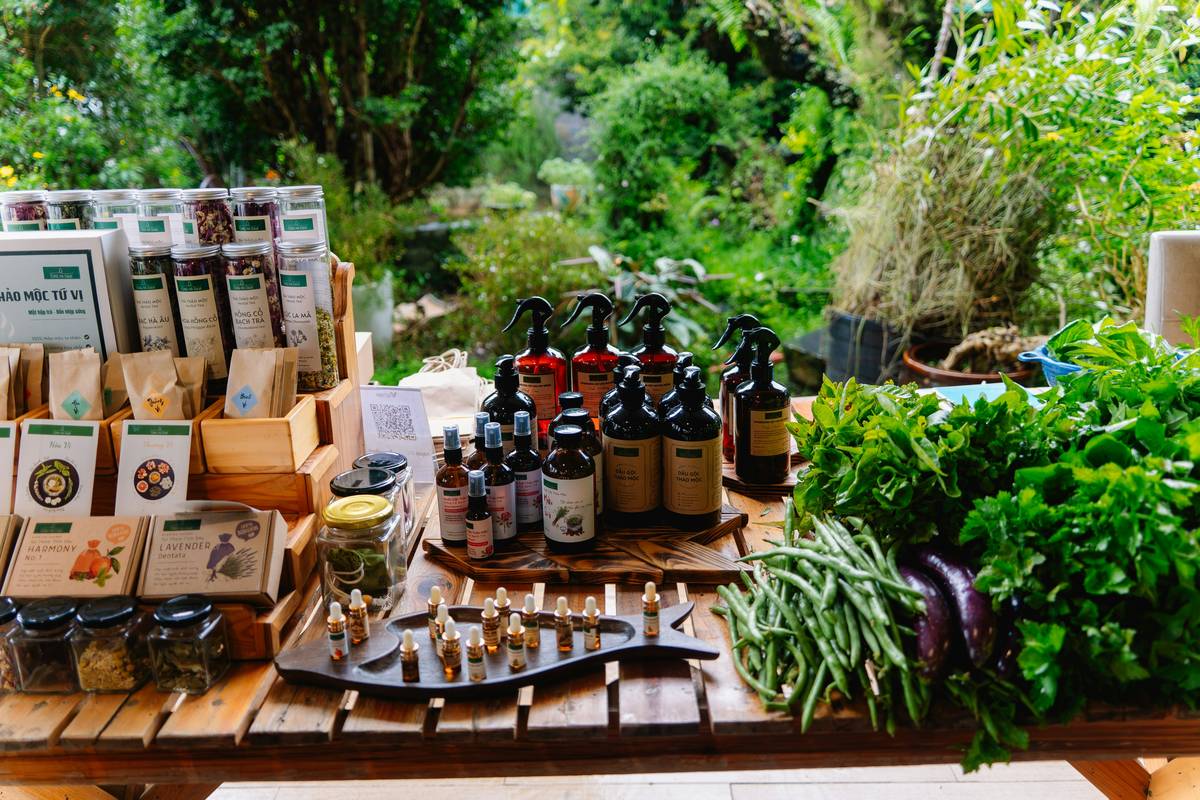 Herbal Solutions: 7 Proven Ways to Avoid Costly Skincare Mistakes