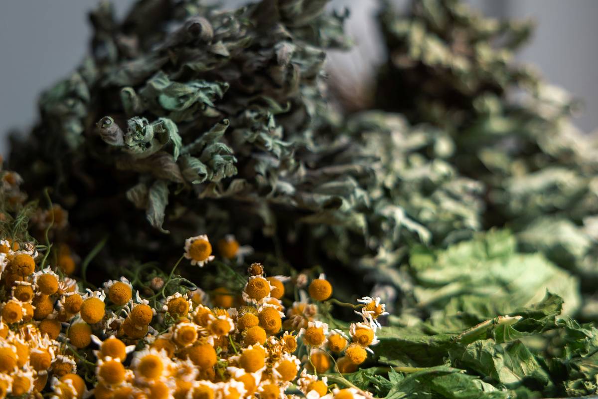 Herbal Solutions including fresh aloe vera, dried calendula flowers, and turmeric root arranged on a wooden surface